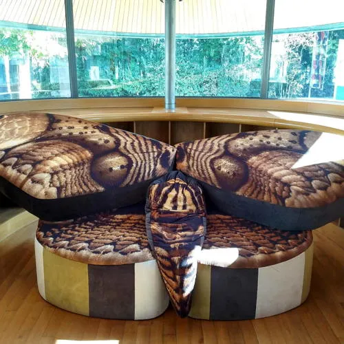 mama moth sofa